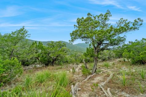 411 Valley View Pipe Creek TX 78063