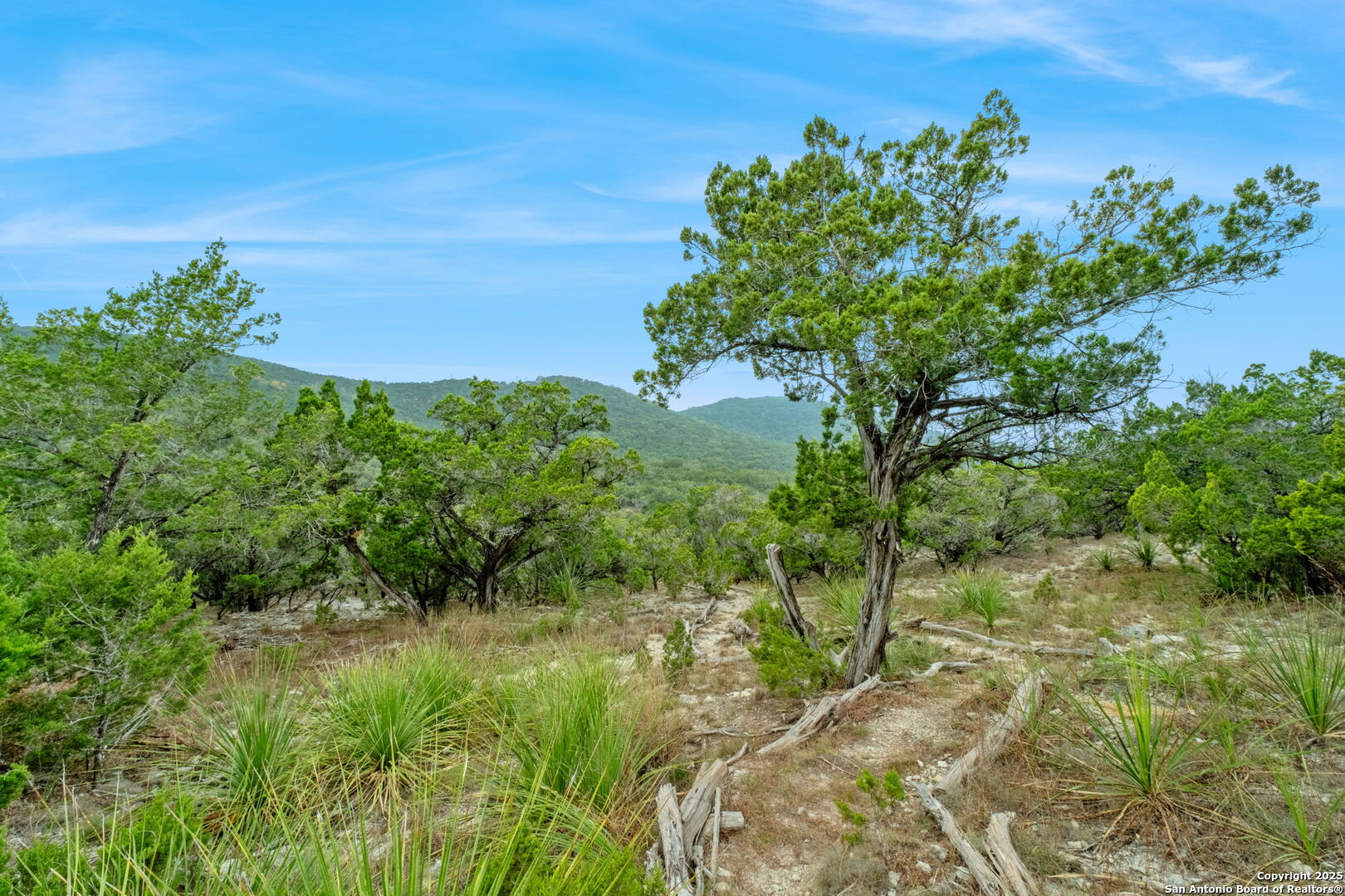 411 Valley View Pipe Creek TX 78063
