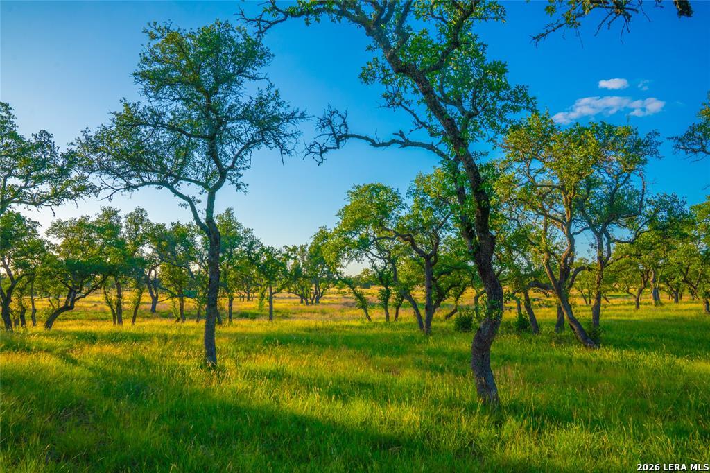 0 Creekside Johnson City TX 78636