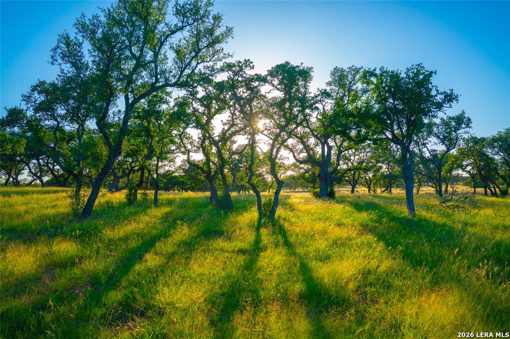 0 Creekside Johnson City TX 78636