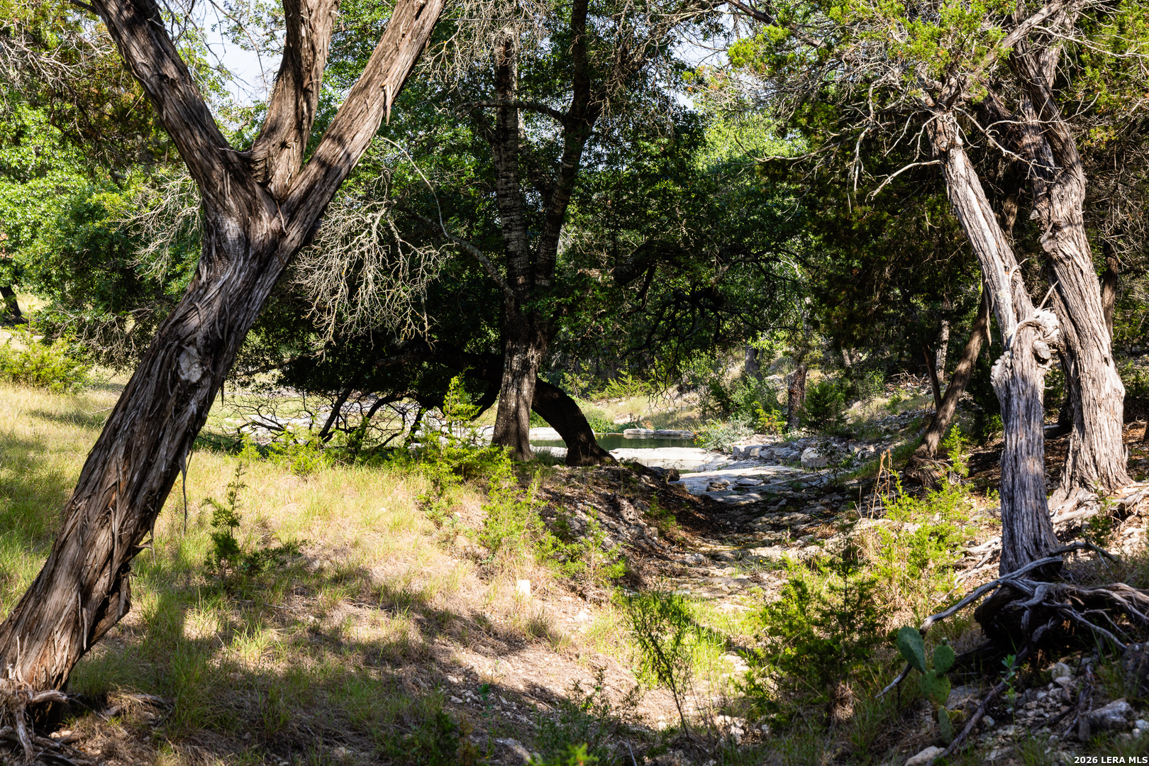 174 Cedar Rock Trail Hunt TX 78024