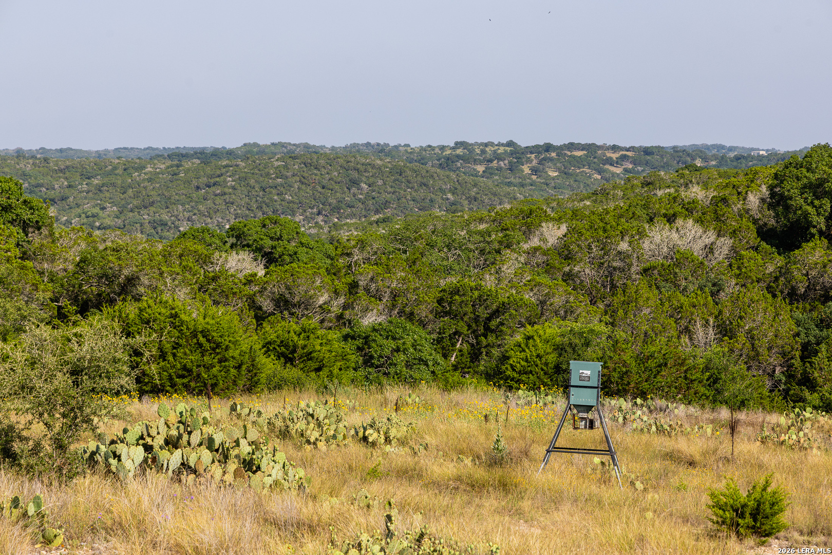 174 Cedar Rock Trail Hunt TX 78024