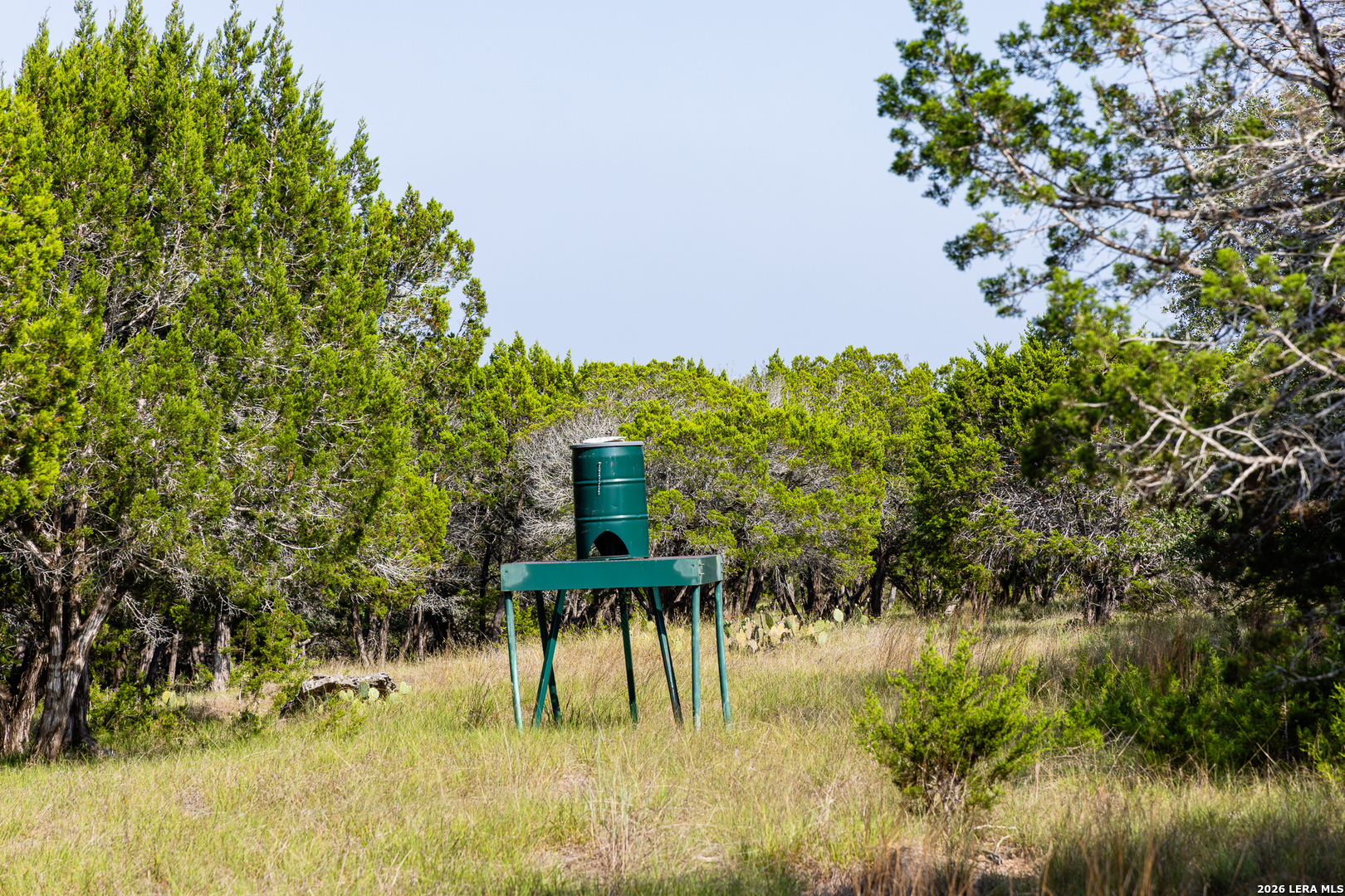 174 Cedar Rock Trail Hunt TX 78024