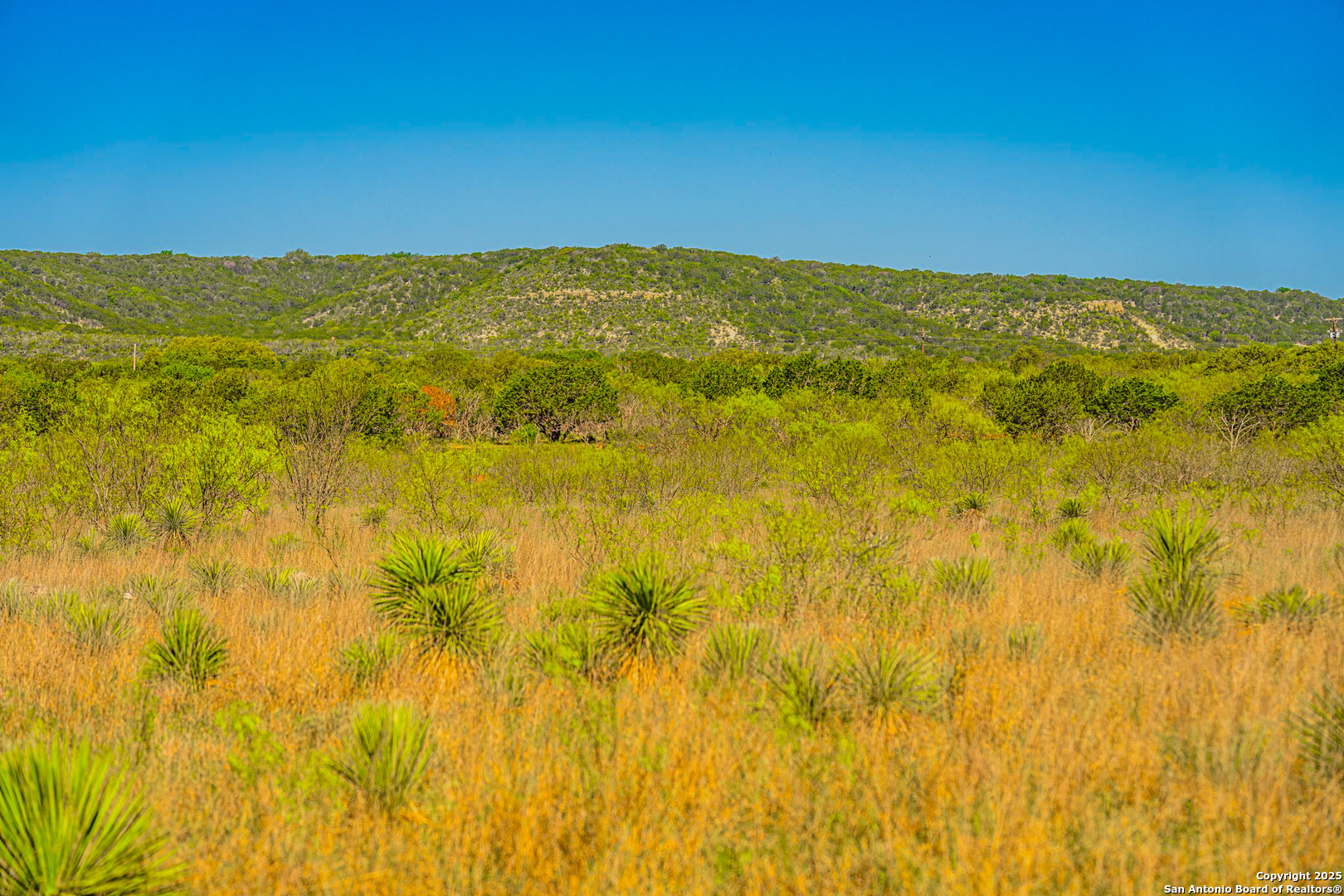 0 Cr 333 Junction TX 76849