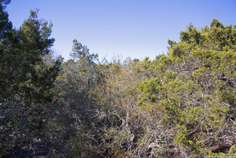 Lot 26 Leona Ranch Brackettville TX 78832