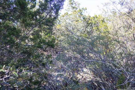Lot 26 Leona Ranch Brackettville TX 78832