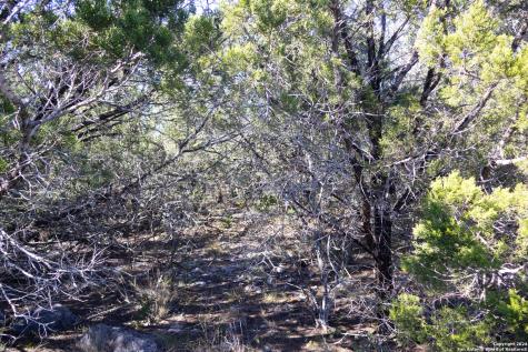 Lot 26 Leona Ranch Brackettville TX 78832
