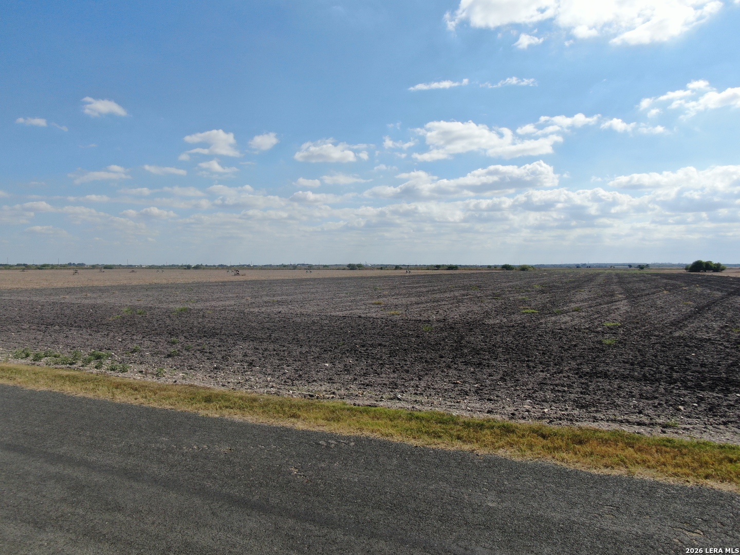 1184 County Road 5714 Natalia TX 78059