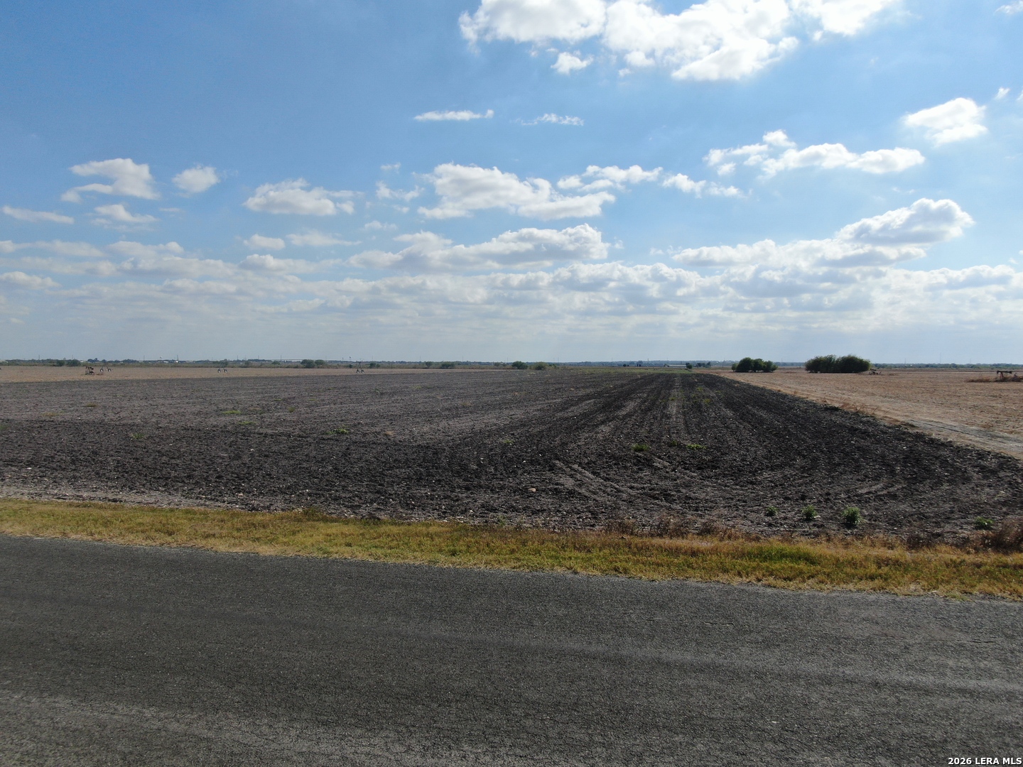 1184 County Road 5714 Natalia TX 78059