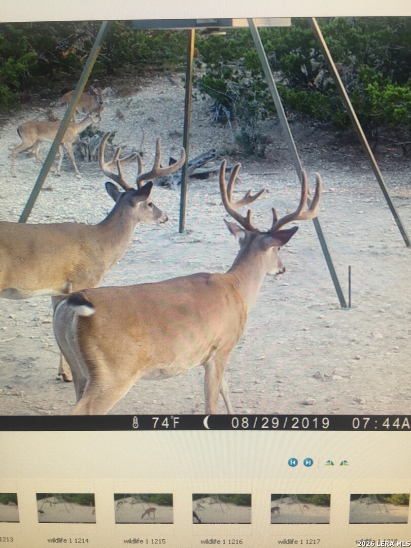 900 Lehmann Drive Center Point TX 78010