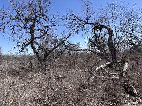 0 Highway 72 Three Rivers TX 78071