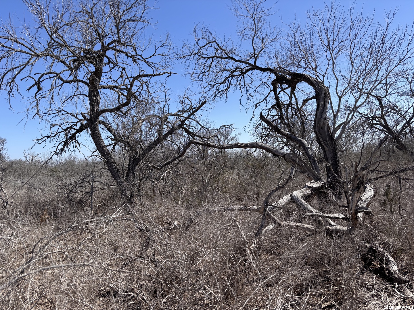 0 Highway 72 Three Rivers TX 78071