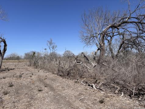 0 Highway 72 Three Rivers TX 78071