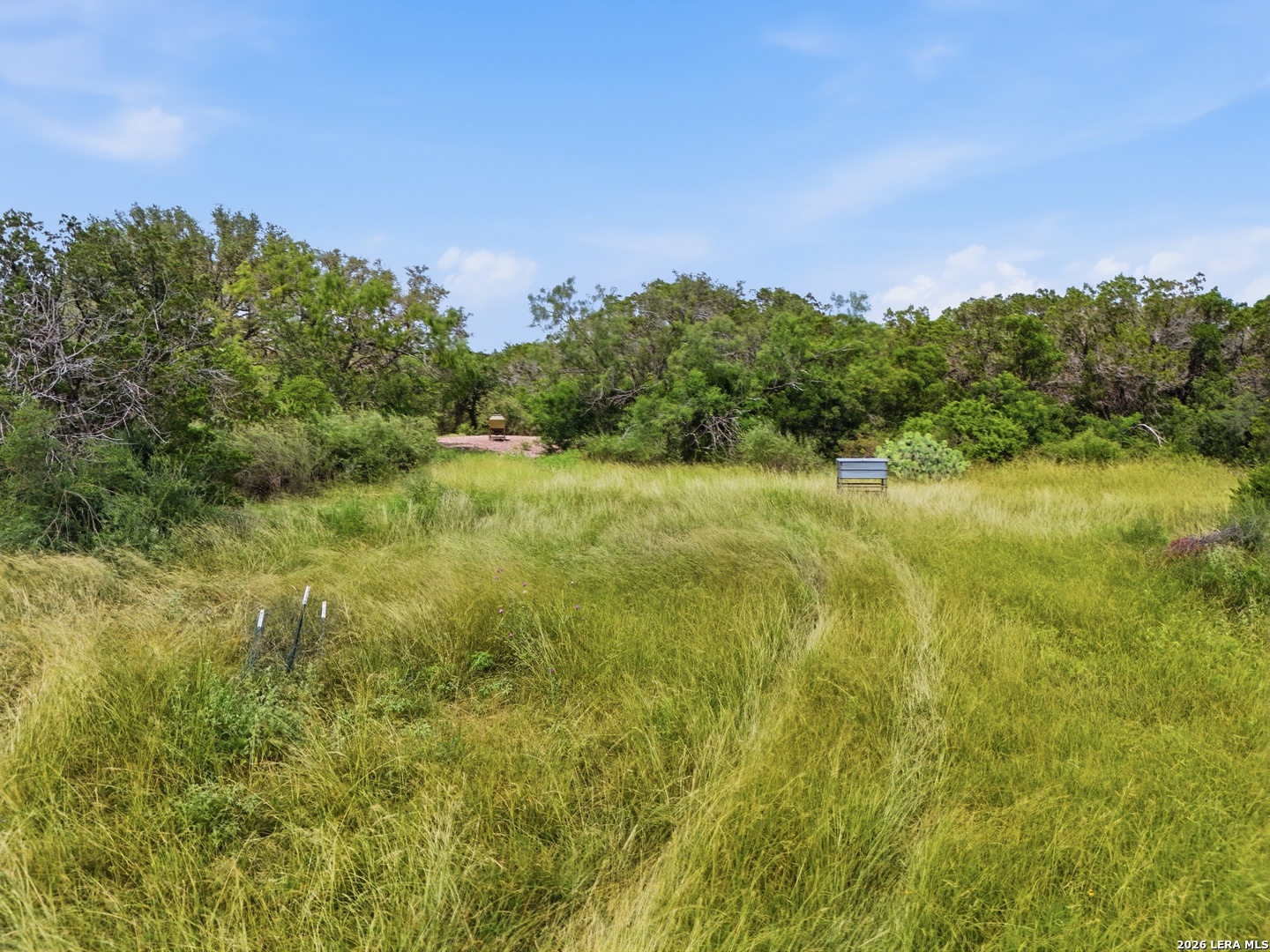 17398 Tx Highway 127 Sabinal TX 78881