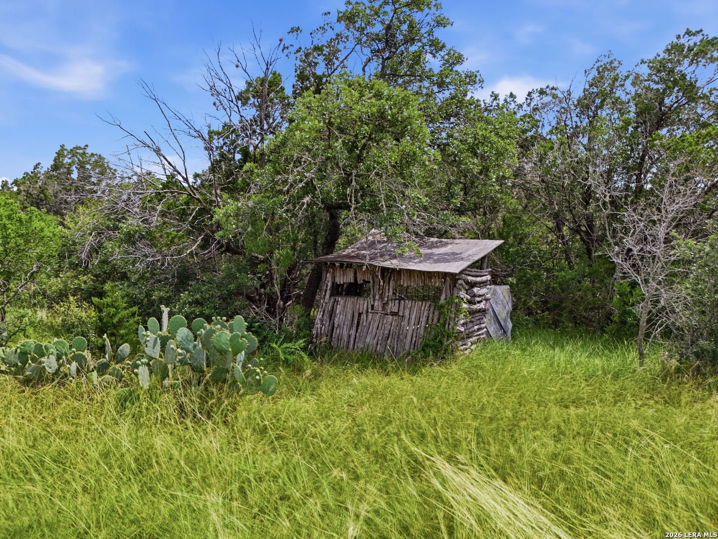 17398 Tx Highway 127 Sabinal TX 78881