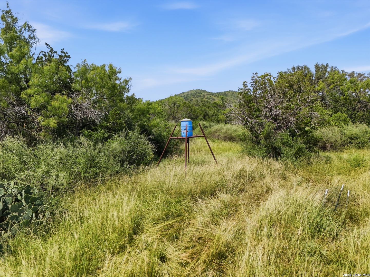 17398 Tx Highway 127 Sabinal TX 78881