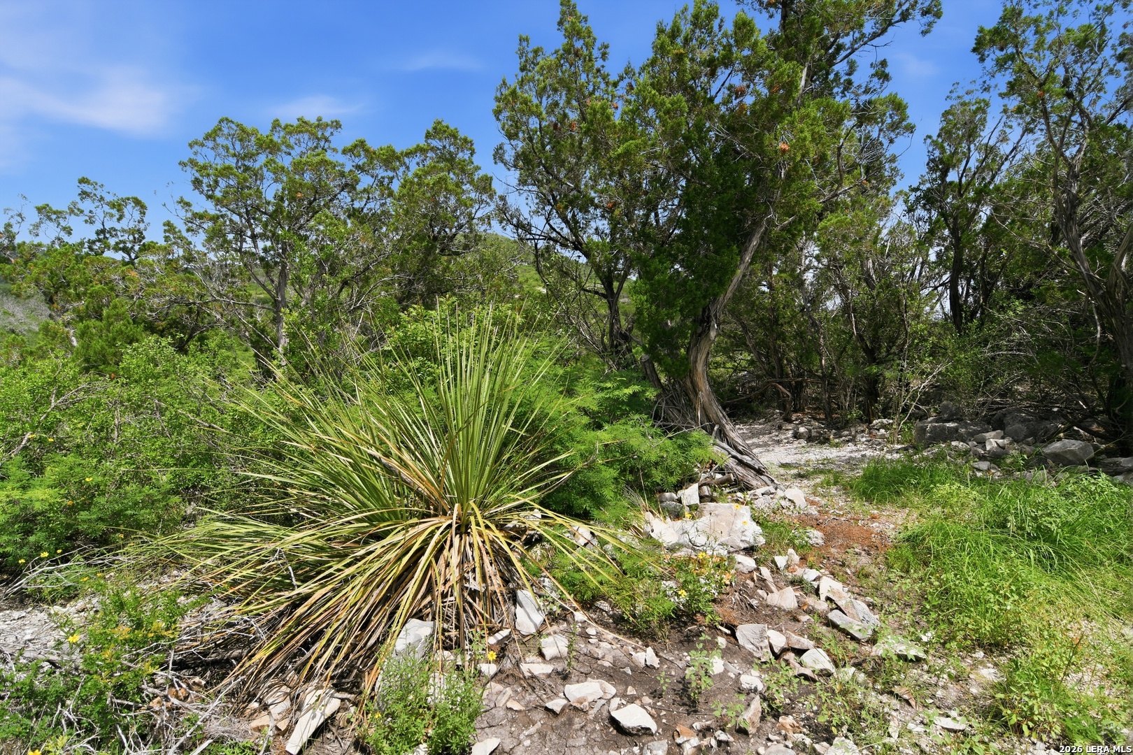 17398 Tx Highway 127 Sabinal TX 78881