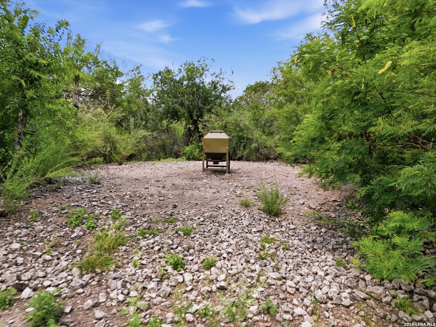 17398 Tx Highway 127 Sabinal TX 78881