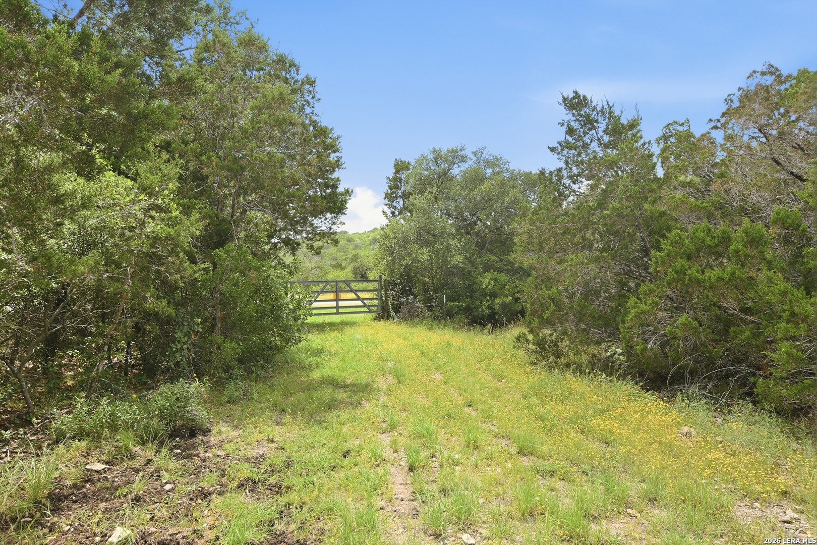 17398 Tx Highway 127 Sabinal TX 78881