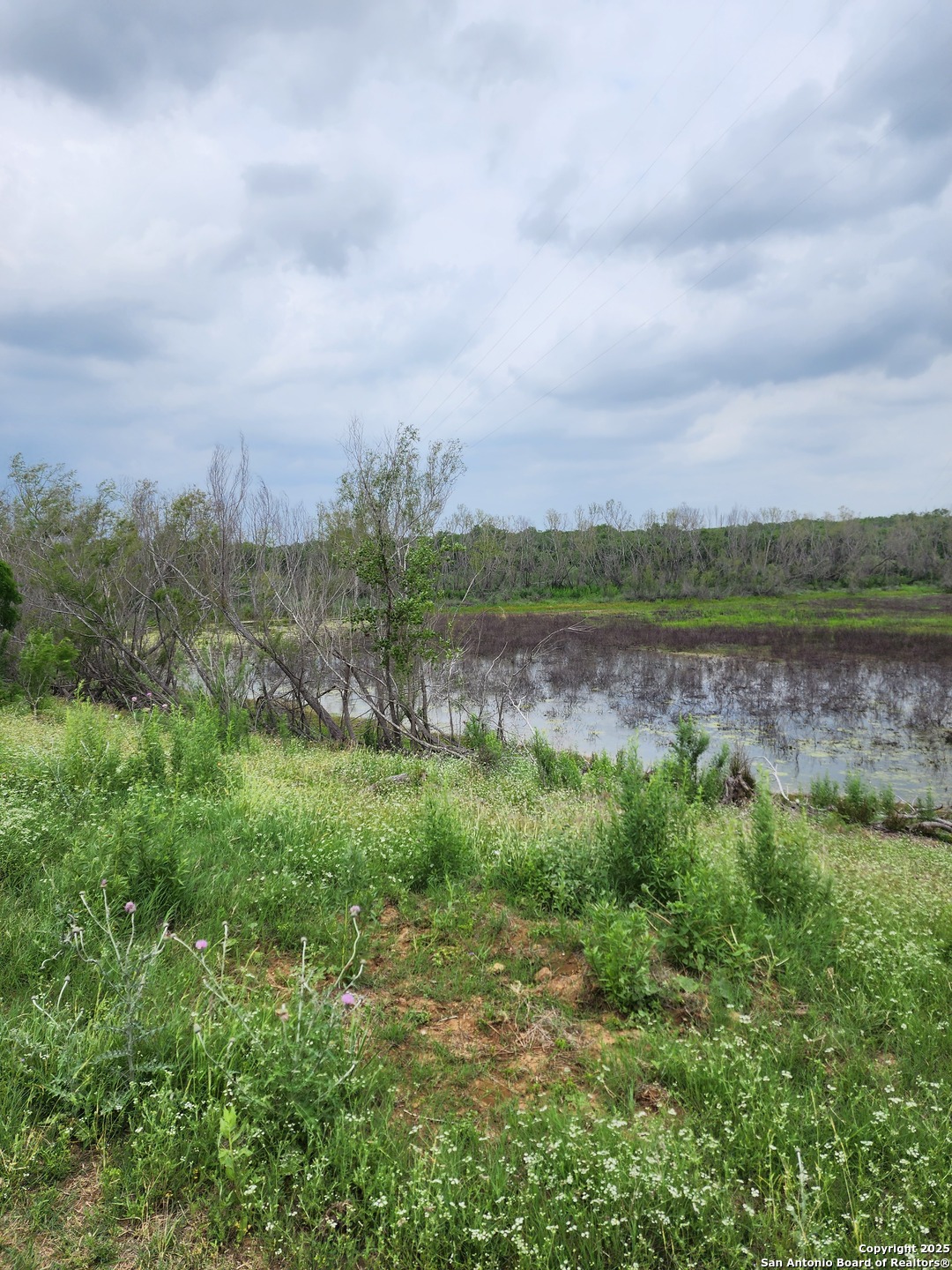 10951 (TRACT D) Kosub Lane San Antonio TX 78223