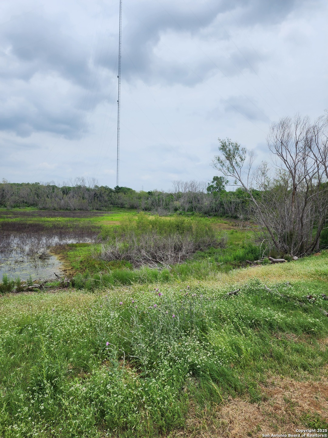 10951 (TRACT D) Kosub Lane San Antonio TX 78223