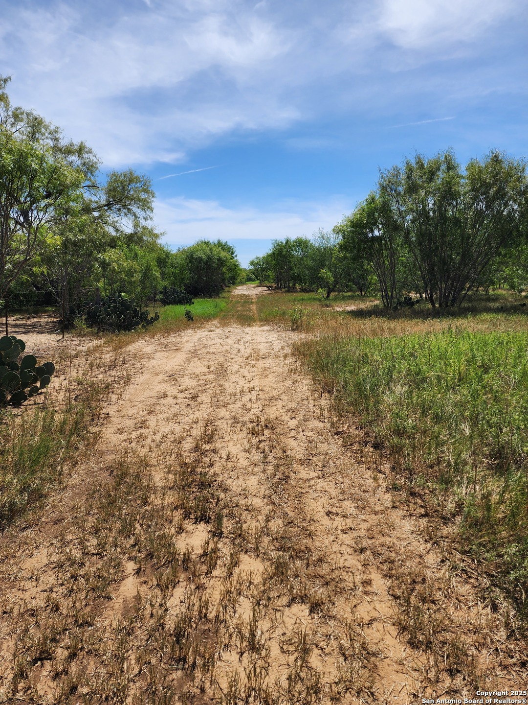 10951 (TRACT D) Kosub Lane San Antonio TX 78223