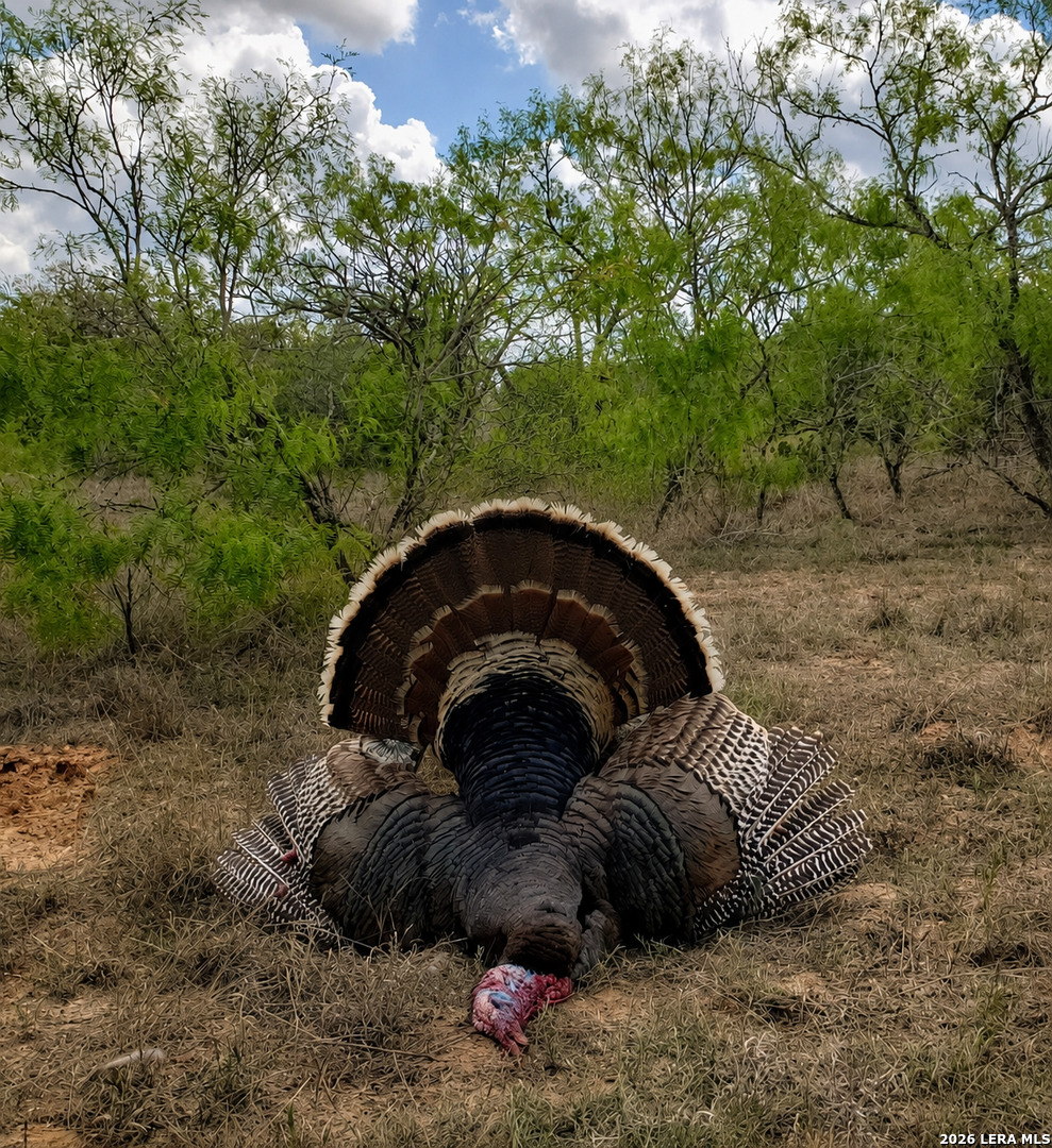 4500 Fm 1150 Kingsbury TX 78638