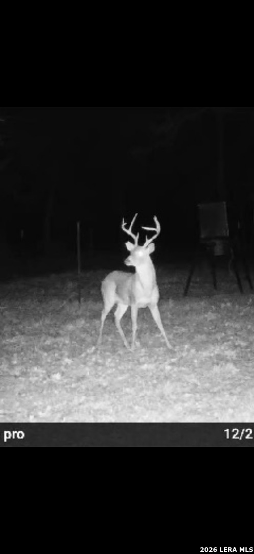 4500 Fm 1150 Kingsbury TX 78638