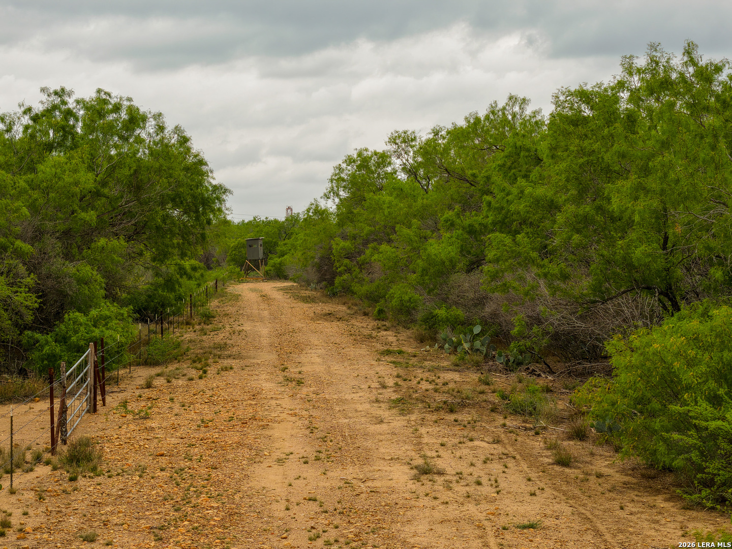 8 Fm 1581 Pearsall TX 78061