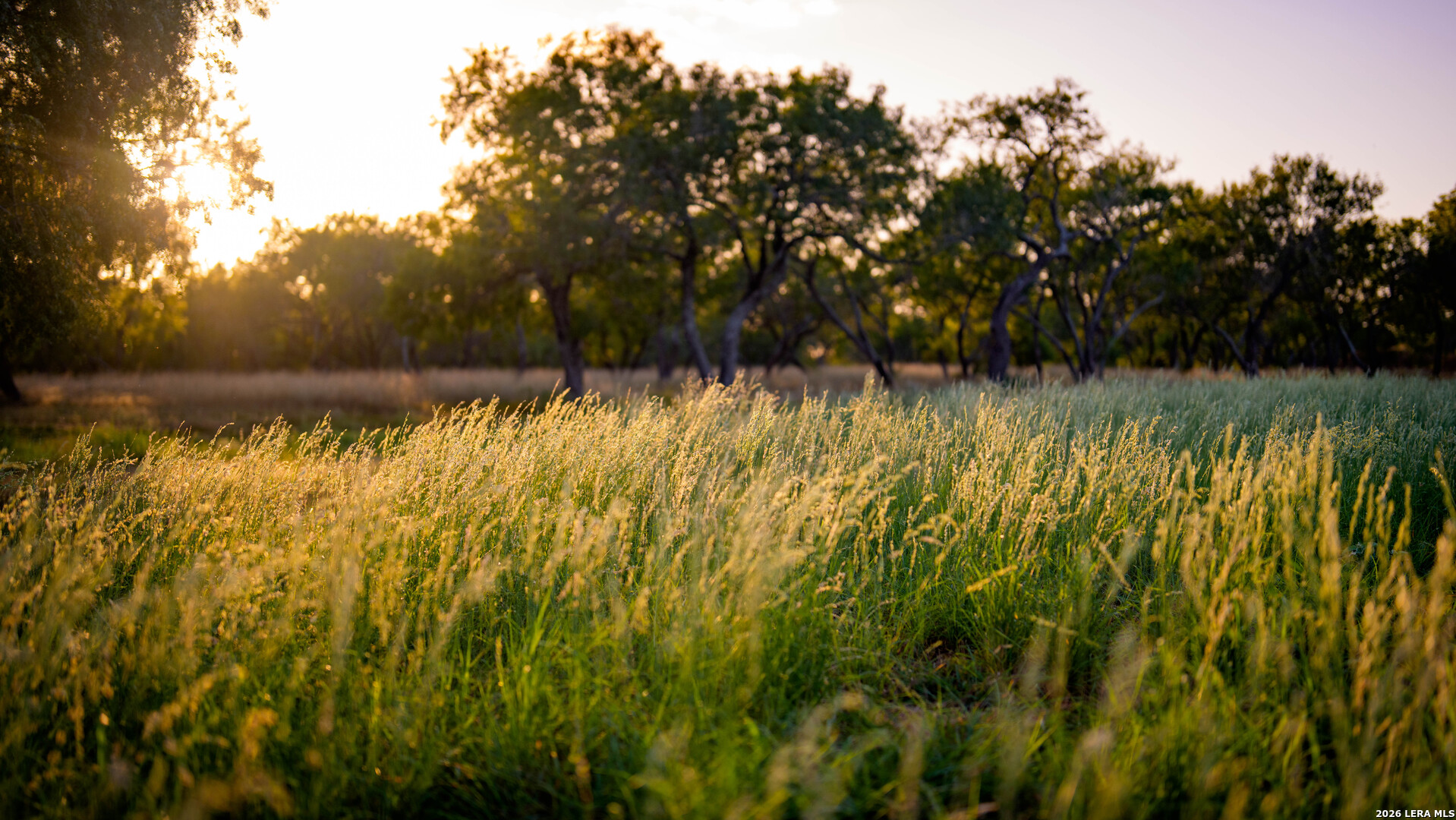 106 County Road 253 Poth TX 78147