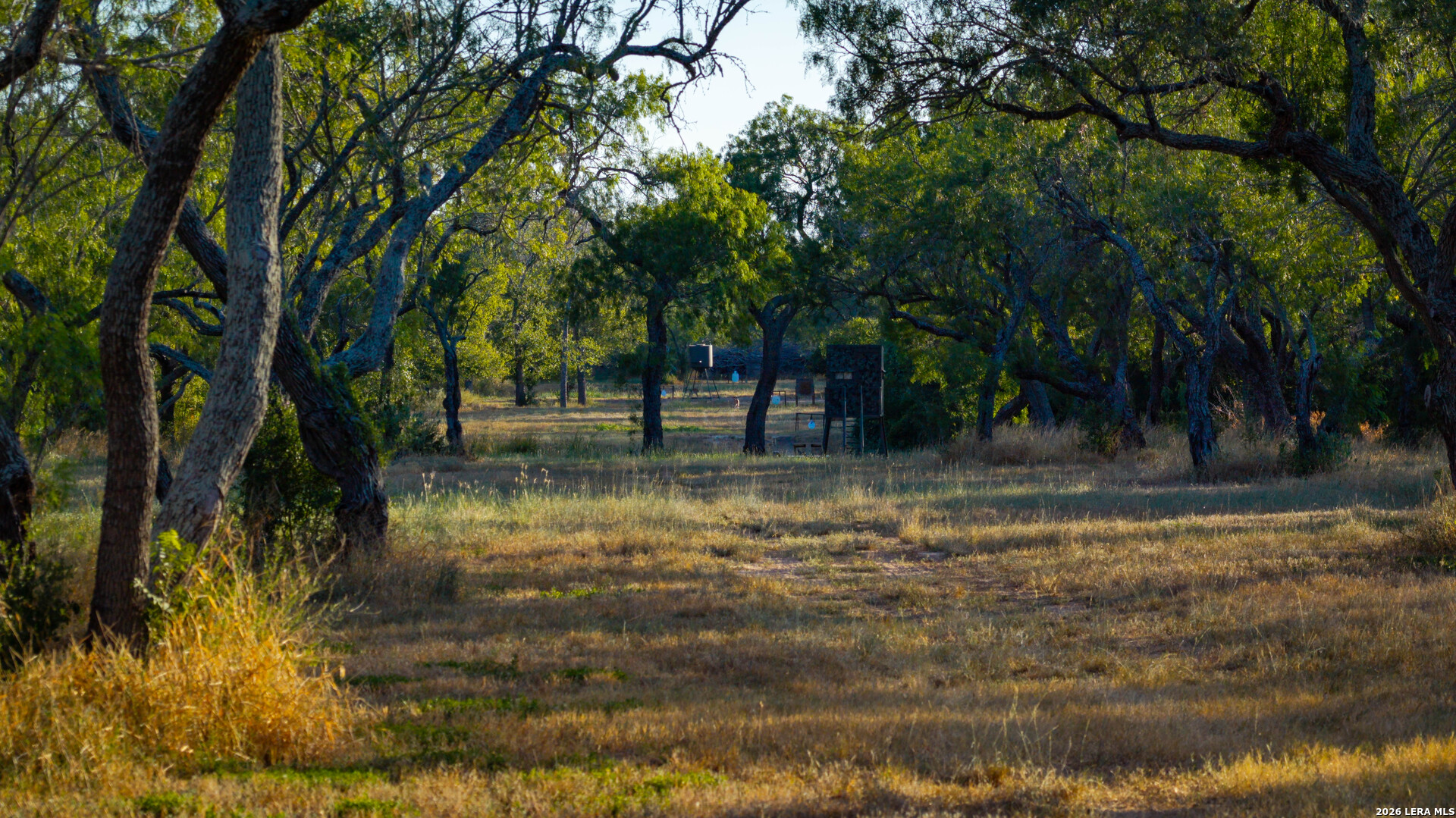 106 County Road 253 Poth TX 78147