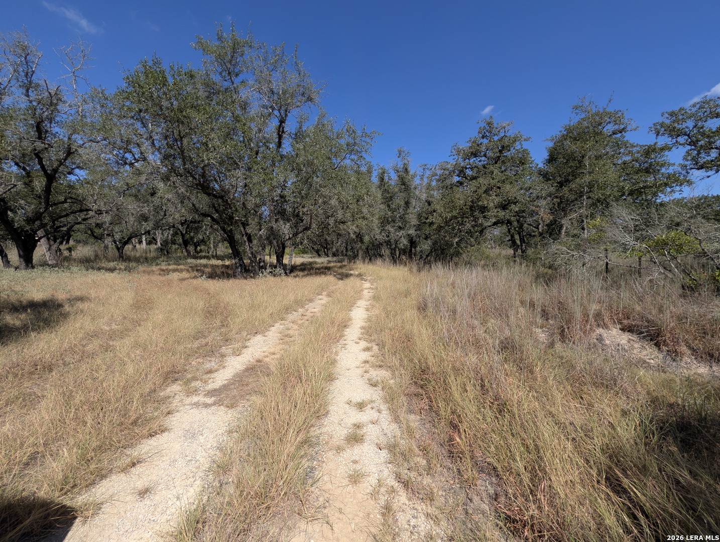 2404 County Road 320 Floresville TX 78114