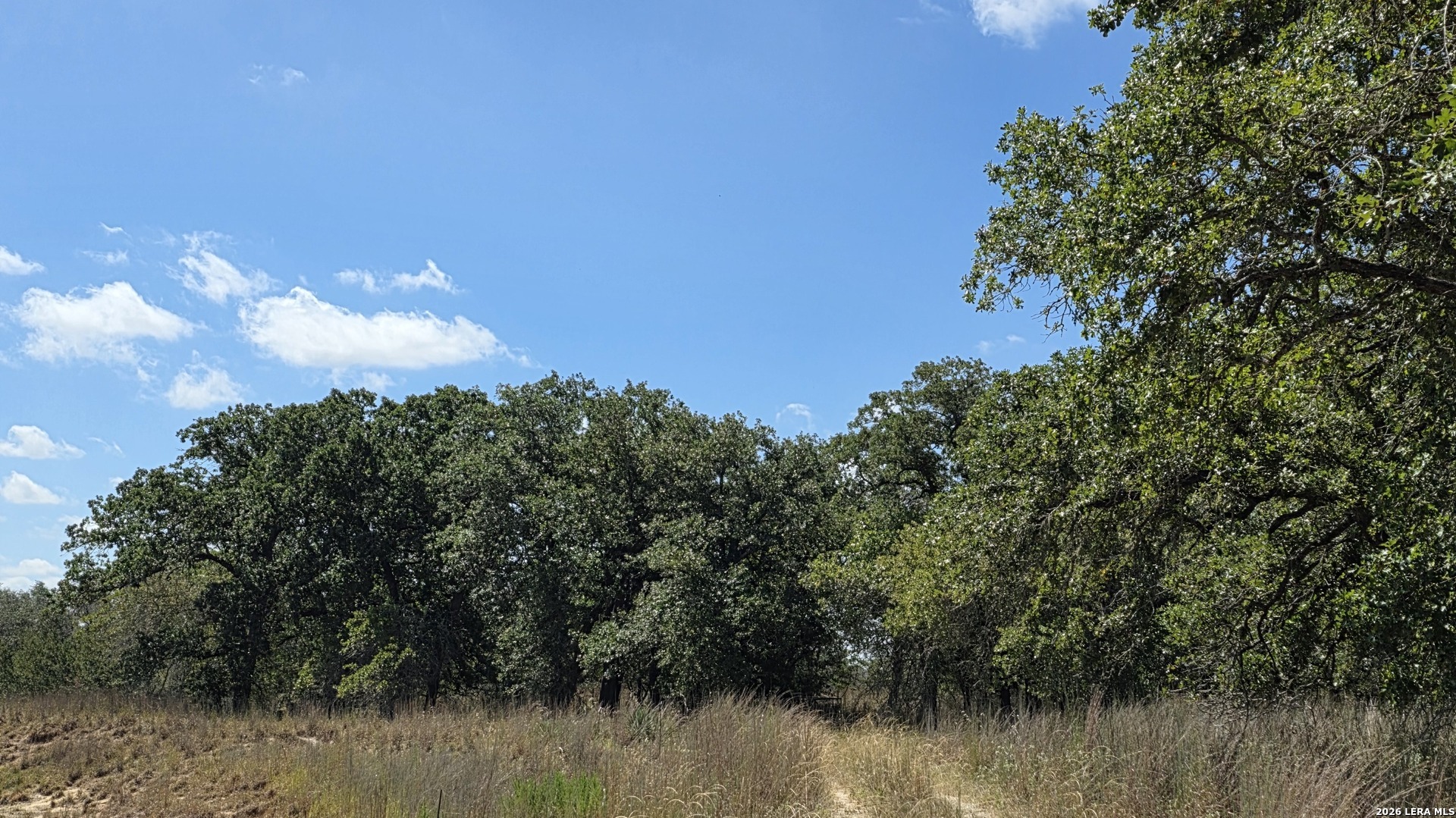 2404 County Road 320 Floresville TX 78114