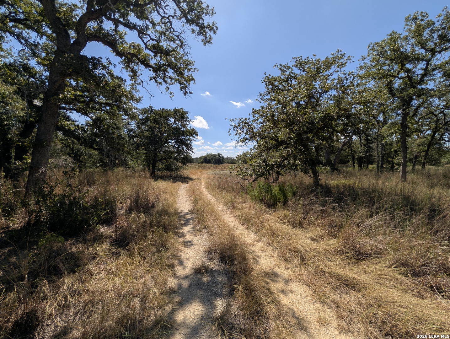 2404 County Road 320 Floresville TX 78114