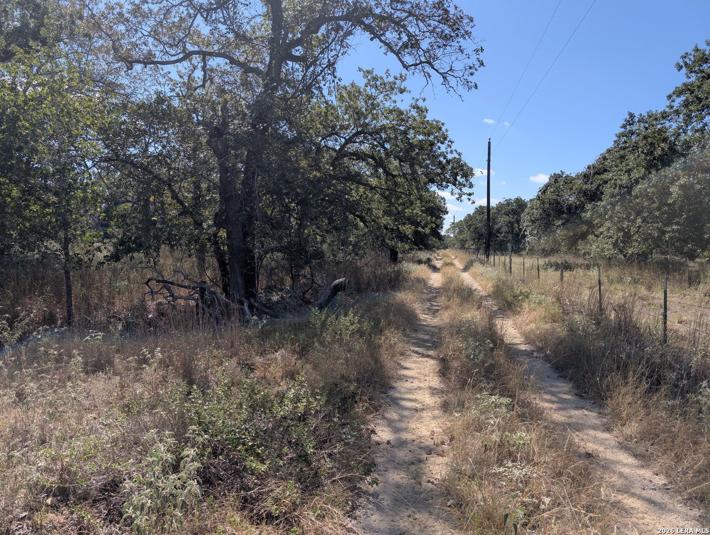 2404 County Road 320 Floresville TX 78114