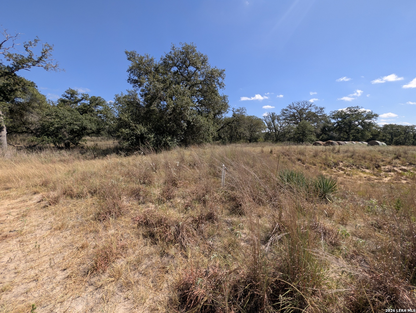 2404 County Road 320 Floresville TX 78114