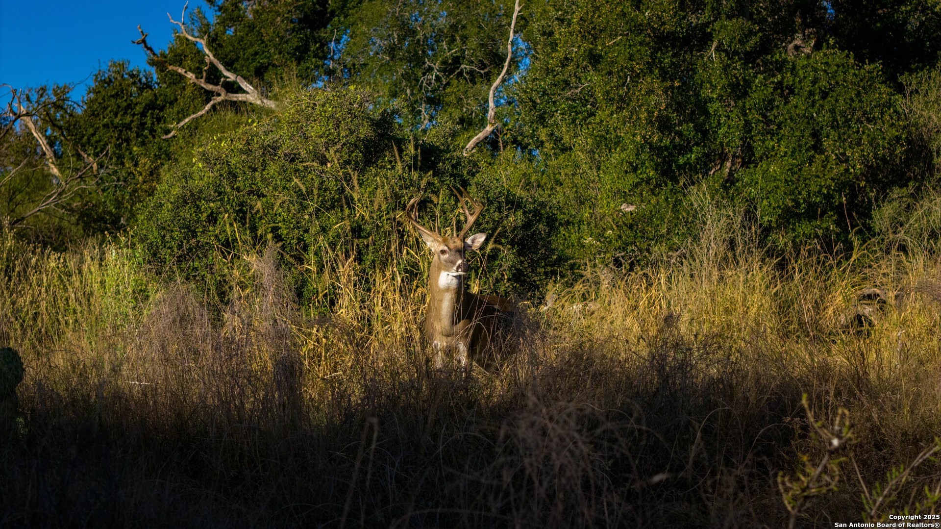 7702 Ranch Road 965 Llano TX 78643