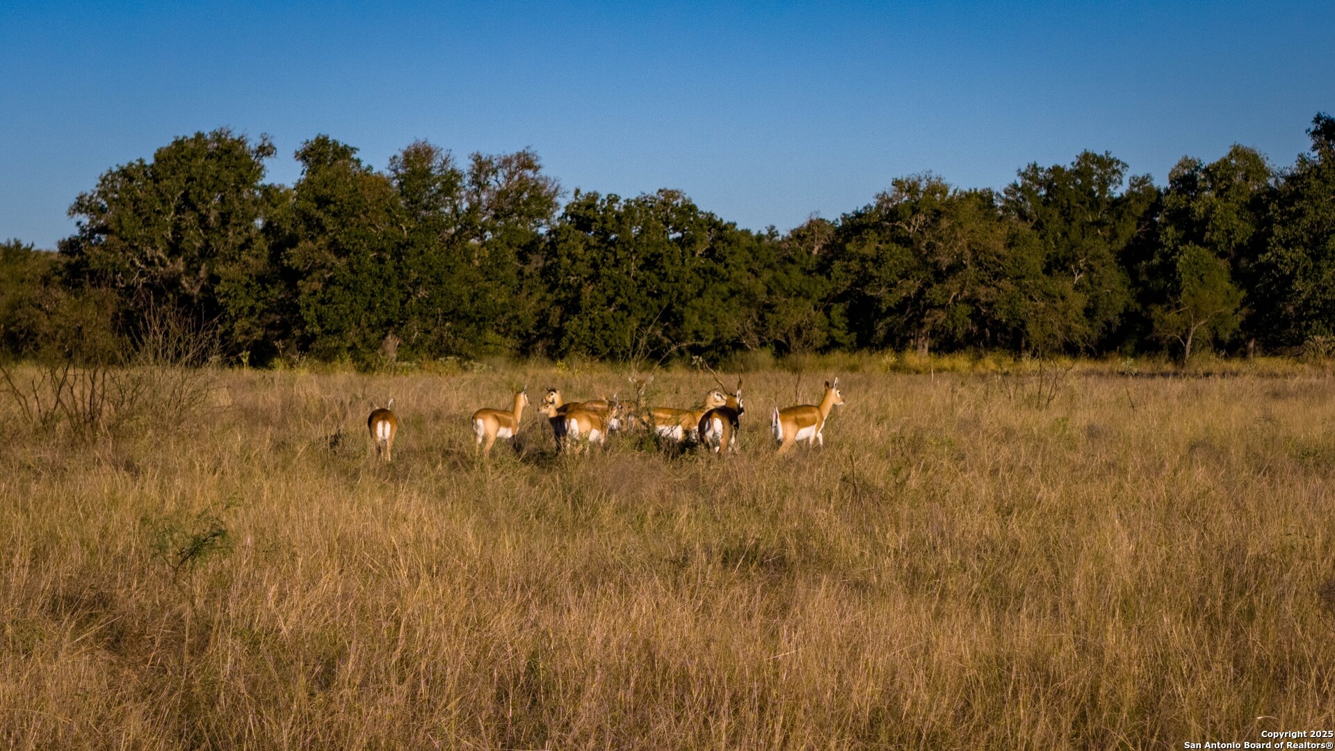 7702 Ranch Road 965 Llano TX 78643