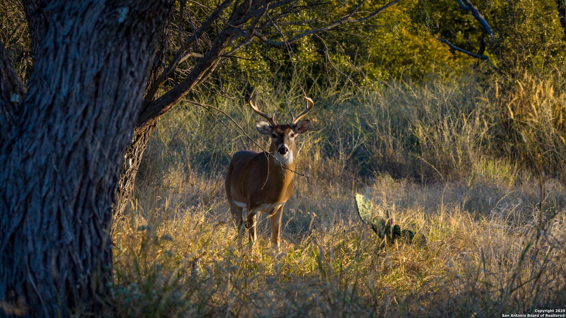 7702 Ranch Road 965 Llano TX 78643
