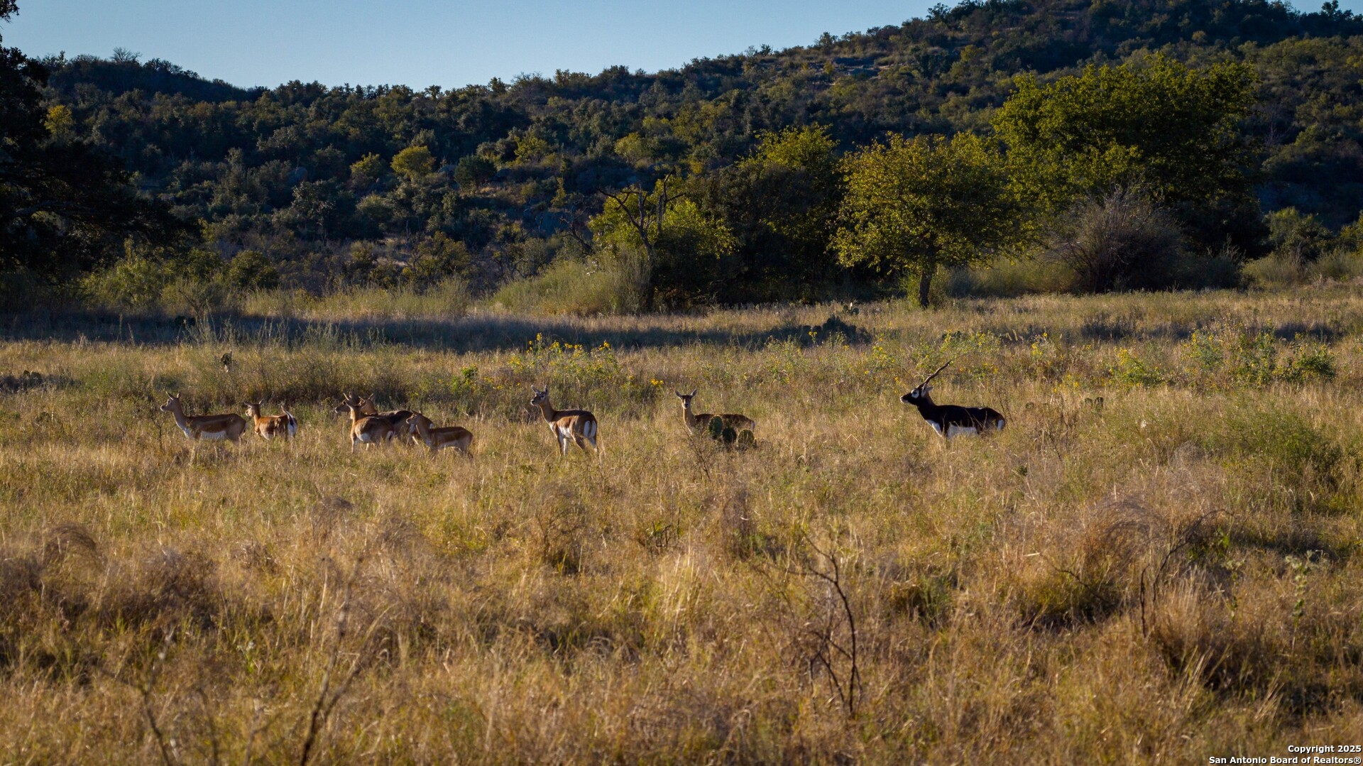 7702 Ranch Road 965 Llano TX 78643