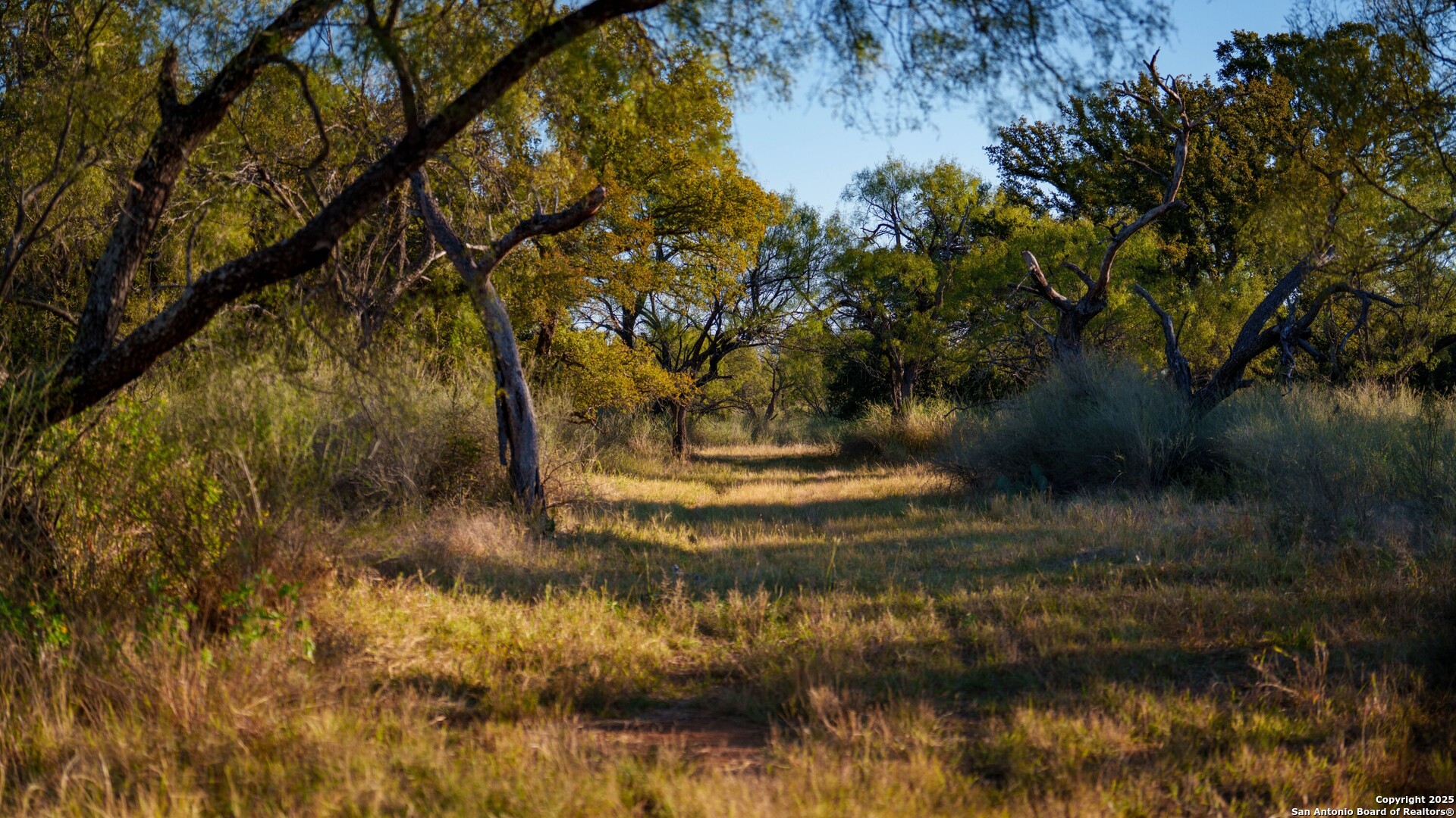 7702 Ranch Road 965 Llano TX 78643