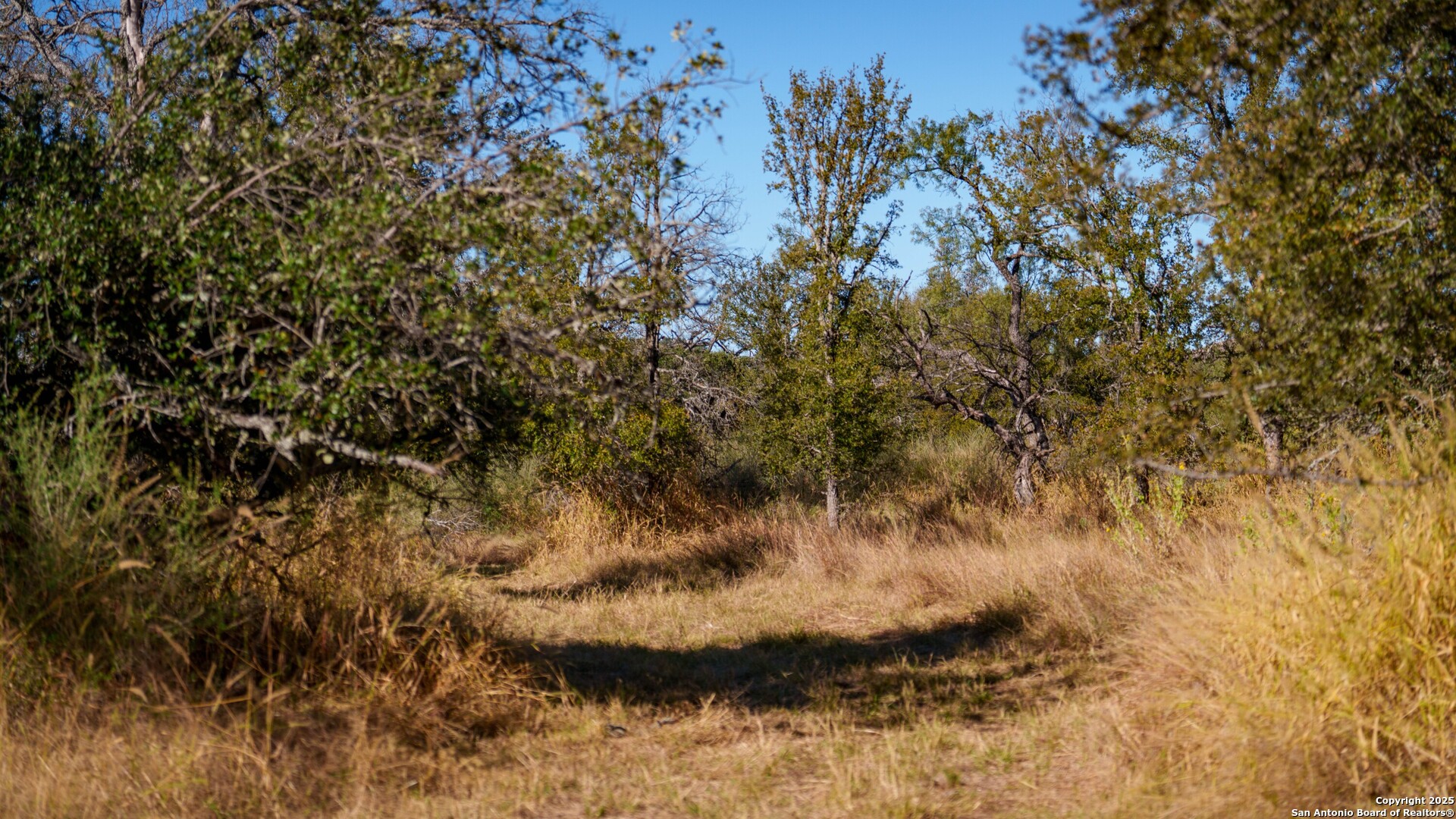 7702 Ranch Road 965 Llano TX 78643