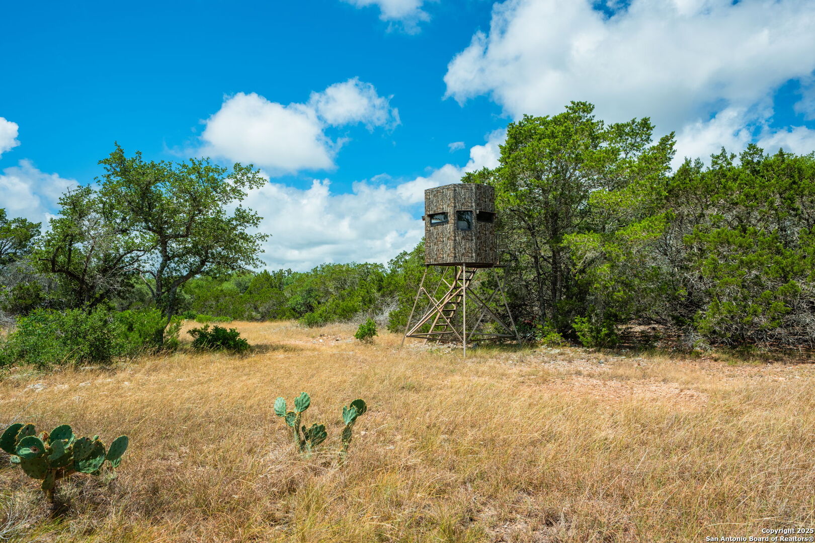 485 Mitchell Ranch Camp Wood TX 78833