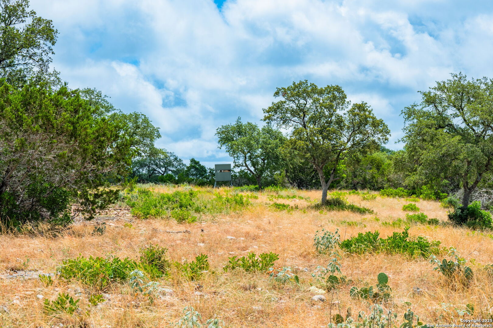 485 Mitchell Ranch Camp Wood TX 78833