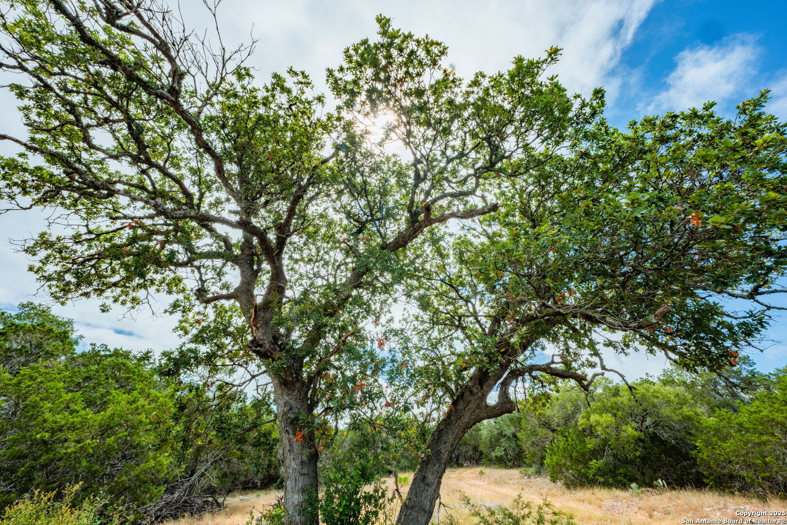 485 Mitchell Ranch Camp Wood TX 78833