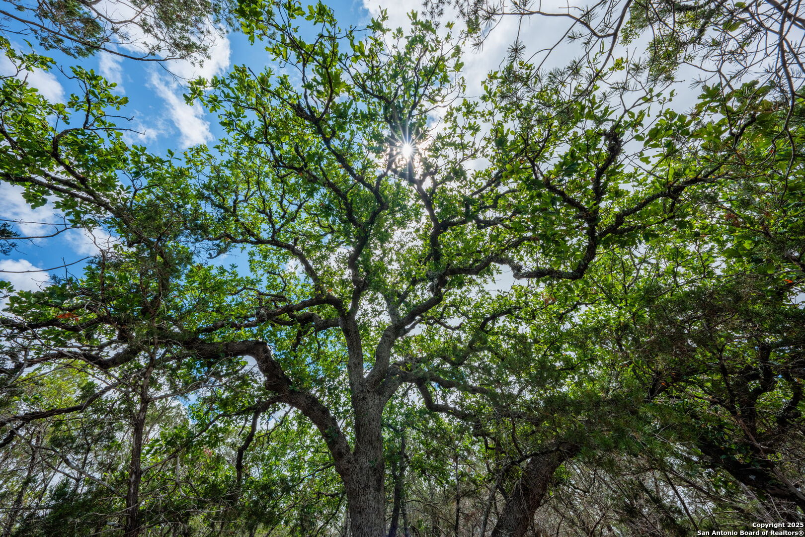 485 Mitchell Ranch Camp Wood TX 78833