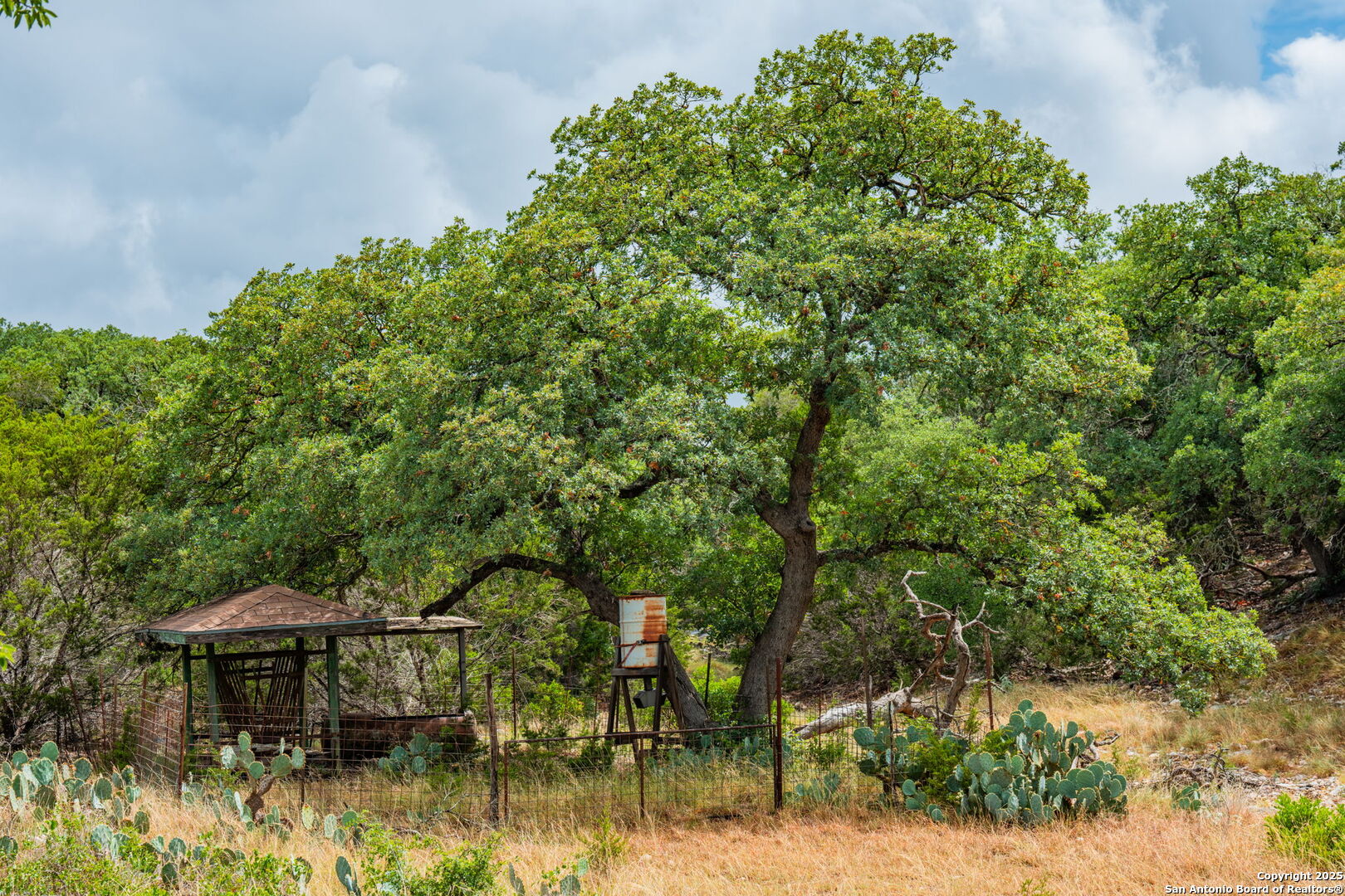 485 Mitchell Ranch Camp Wood TX 78833