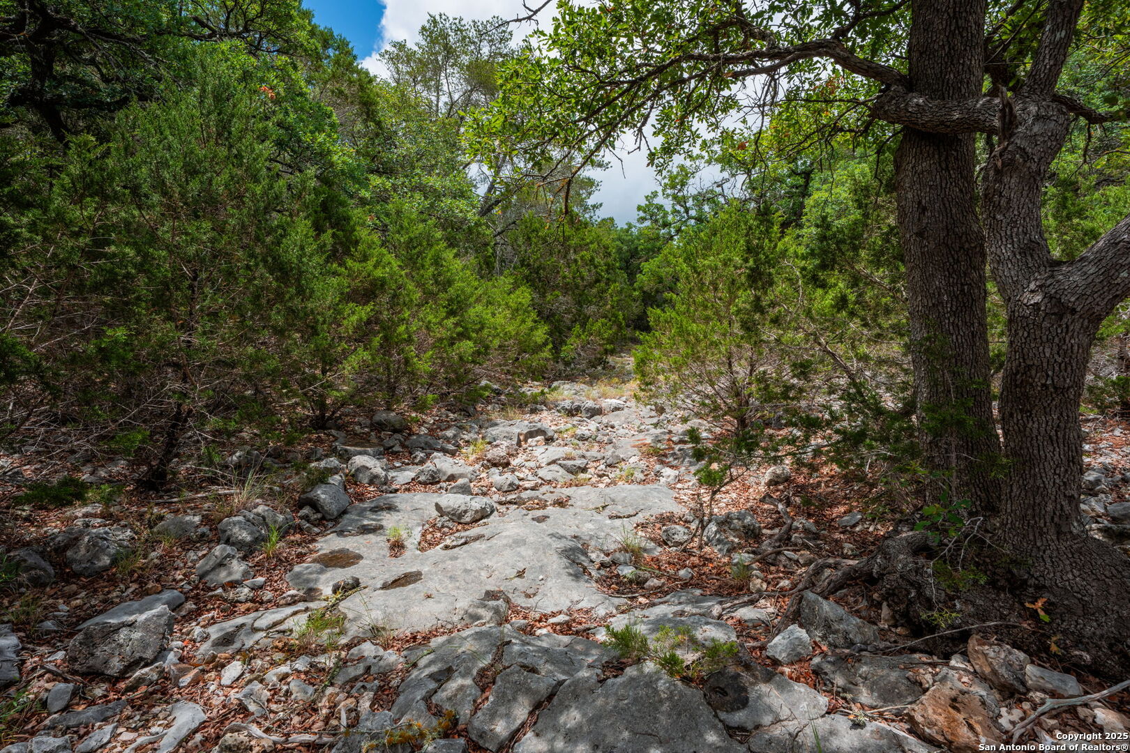 485 Mitchell Ranch Camp Wood TX 78833