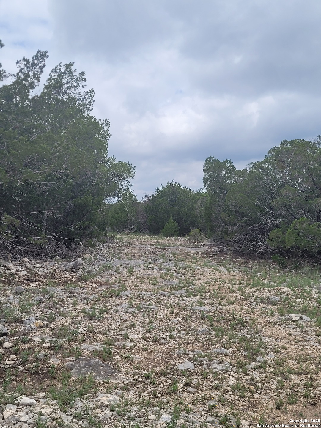Lot 5 Highway 55 Rocksprings TX 78880