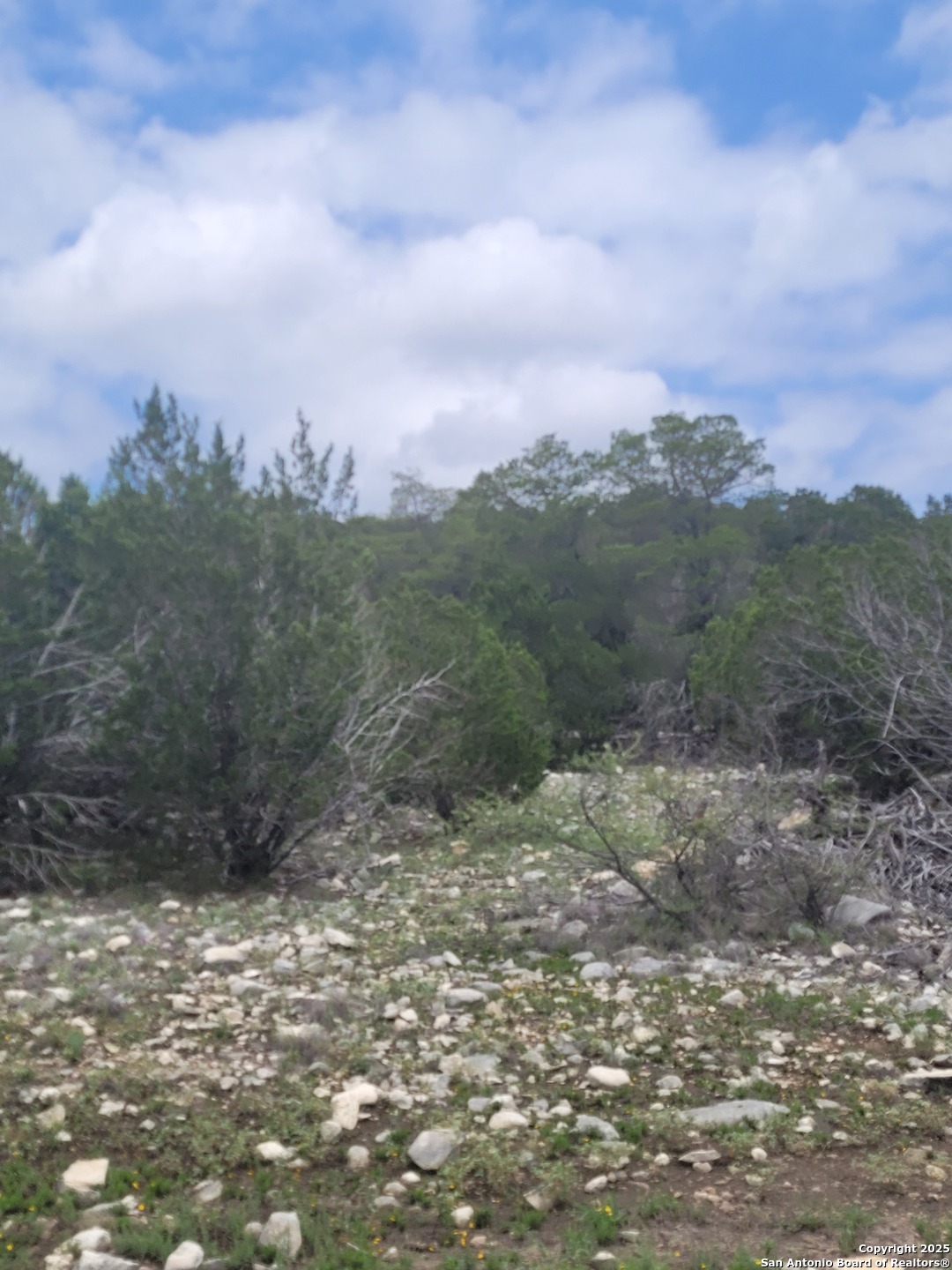 Lot 5 Highway 55 Rocksprings TX 78880
